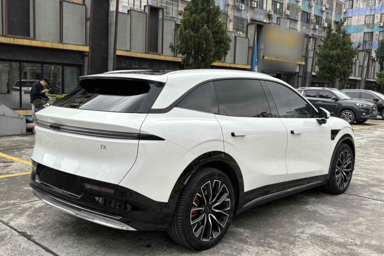 Zeekr 7X 2024 car image #8