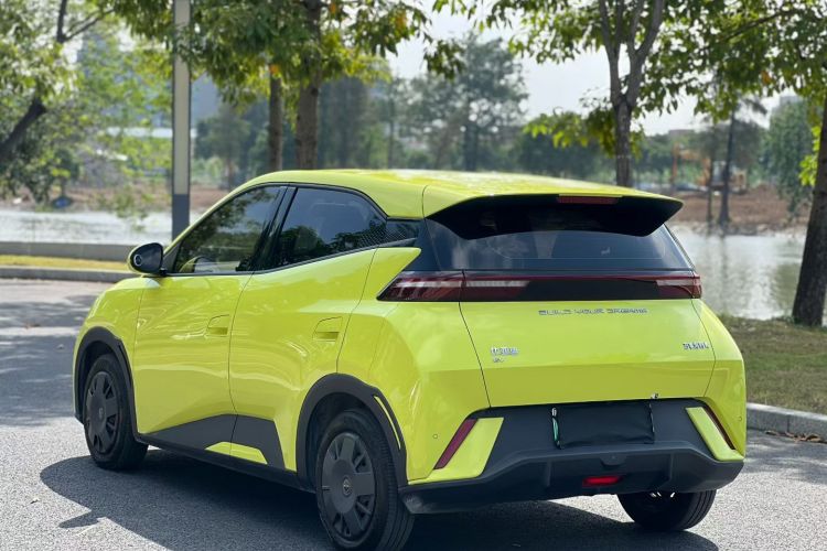 BYD Seagull 2024 car image #8