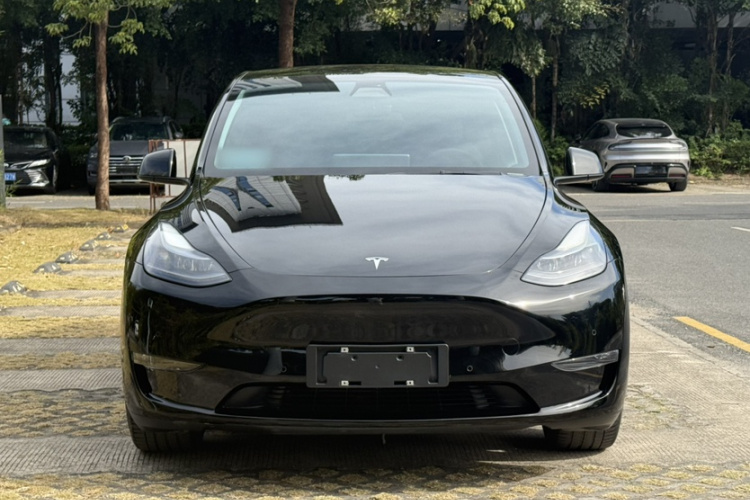 Tesla Model Y 2021 #8 Tesla Model Y 2021 car image #8