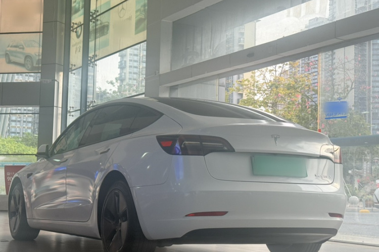 Tesla Model 3 2022 #8 Tesla Model 3 2022 صورة سيارة #8