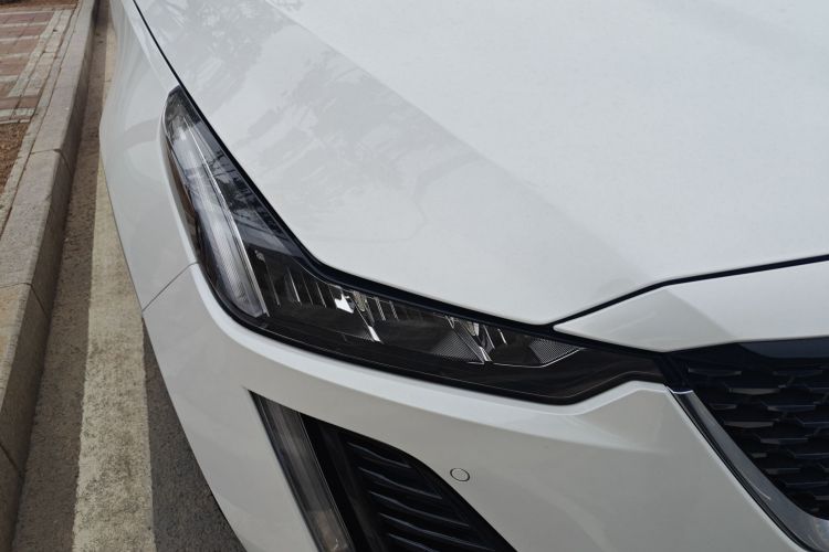 2023 #8 2023 car image #8
