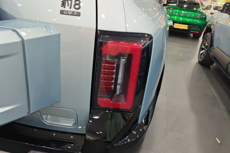 FangChengBao Leopard 8 2024 car image #8