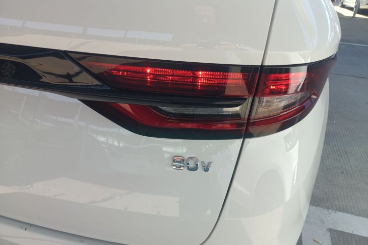 睿蓝汽车 枫叶80v 2021 汽车图片 #8