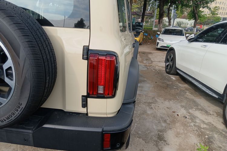 Tank 300 New Energy 2025 car image #8