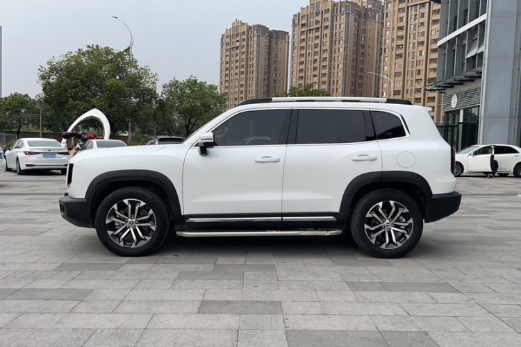 Great Wall X Dog / Dargo 2022 car image #8