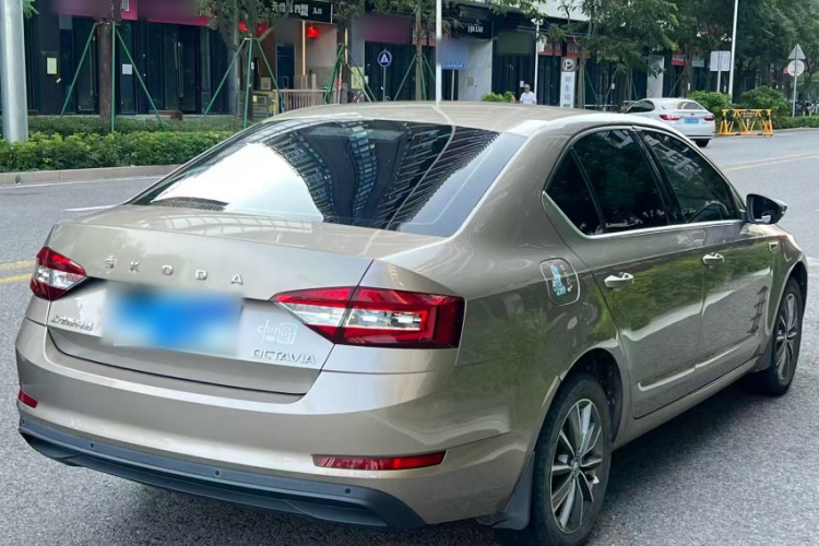 Skoda Octavia 2019 car image #8