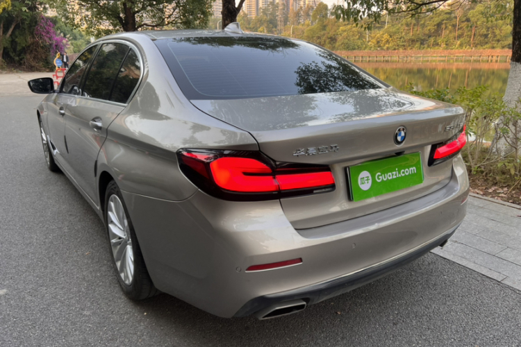 BMW 5 Series New Energy 2020 car image #8