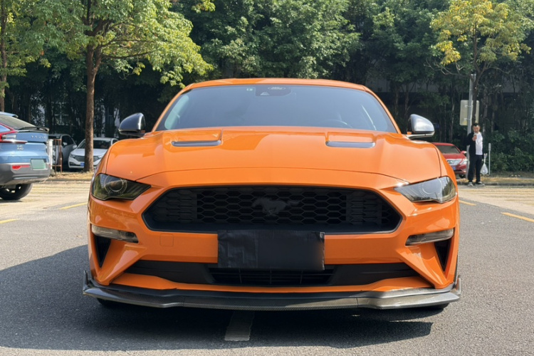 Ford Mustang 2022 #8 Ford Mustang 2022 car image #8