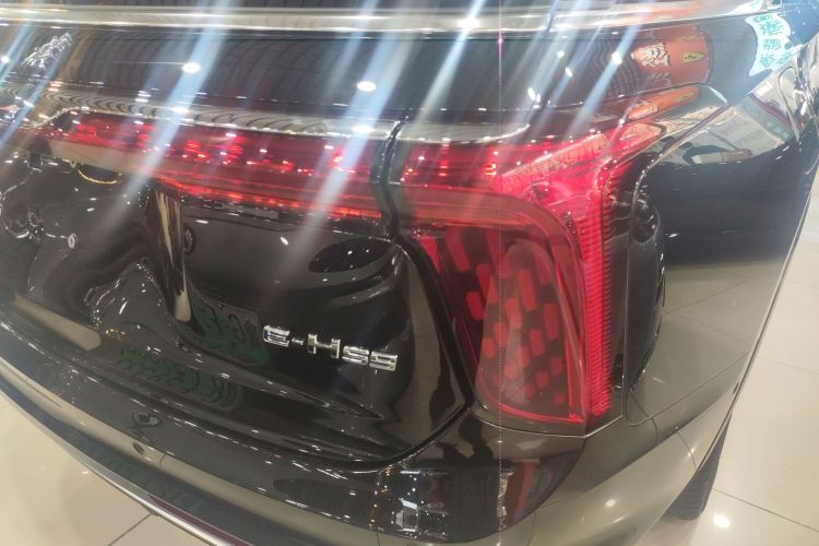 HongQi E-HS9 2021 immagine di auto #8