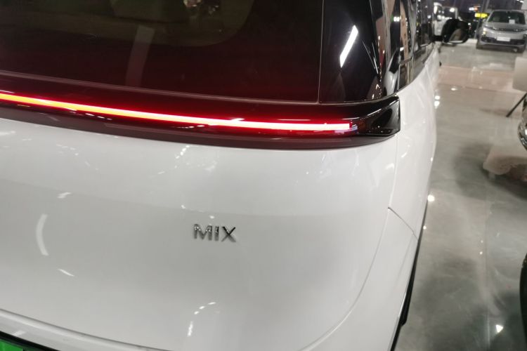 极氪 极氪MIX 2024 汽车图片 #8