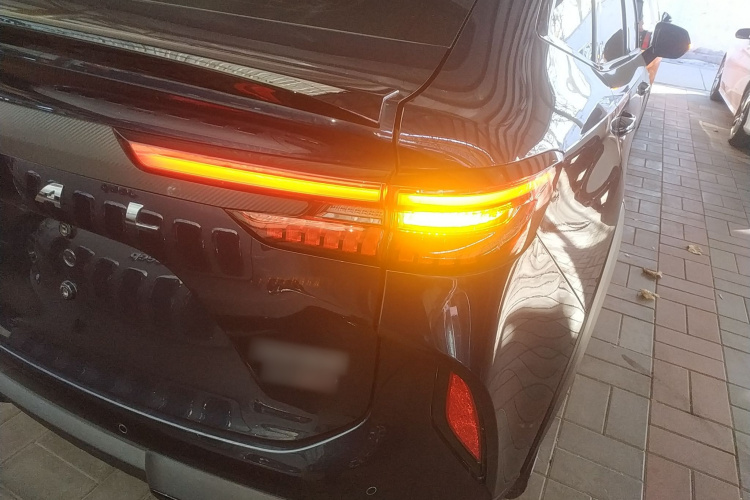 Haval H6S 2021 immagine di auto #8