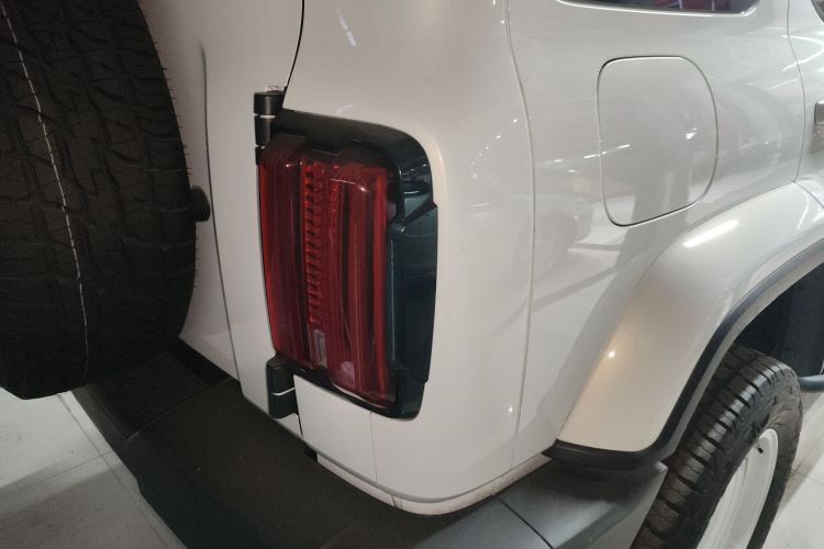 Tank 300 New Energy 2024 car image #8