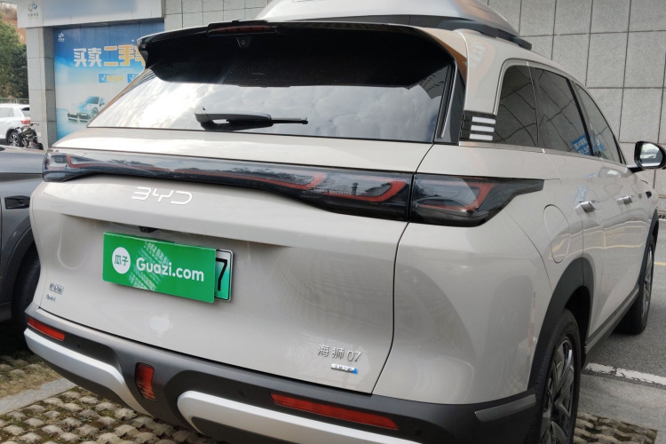 BYD Sea Lion 07 DM-i 2025 car image #8