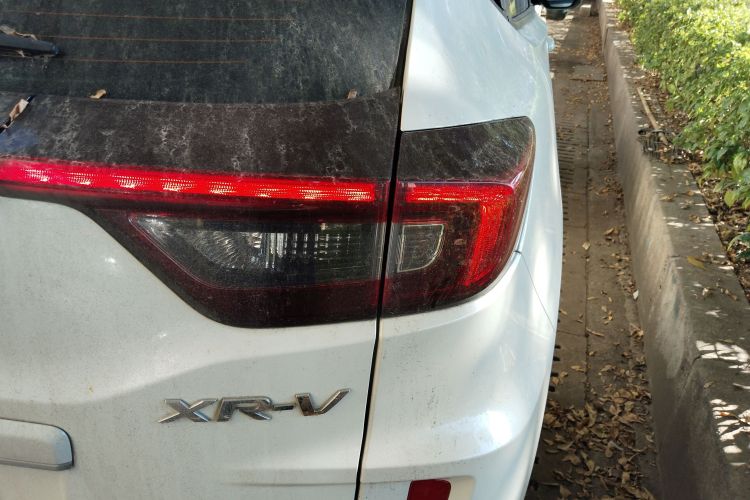 Honda XR-V 2020 car image #8