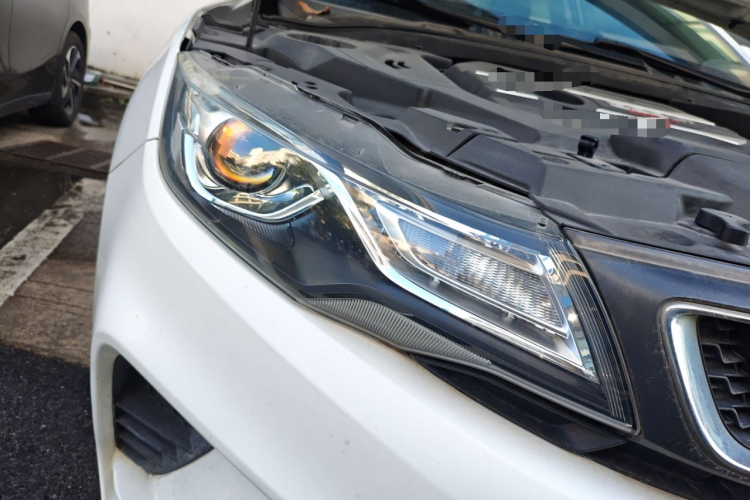 Emgrand GL 2019 #8 Emgrand GL 2019 car image #8