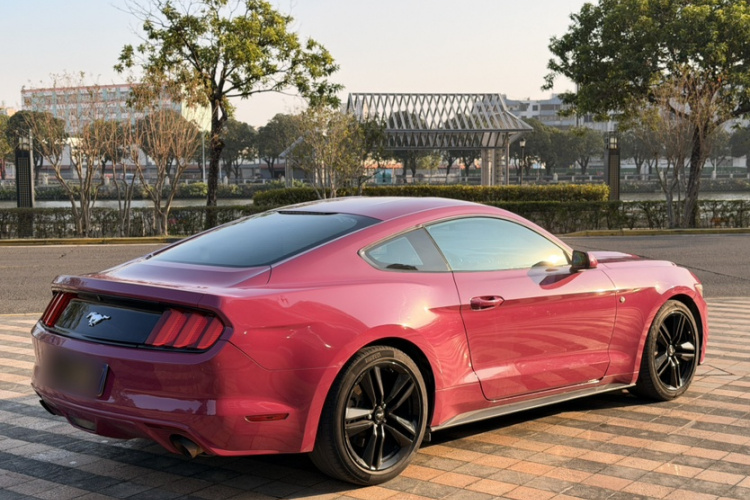 Ford 2015 car image #8