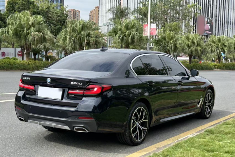 BMW 5 Series 2023 car image #8