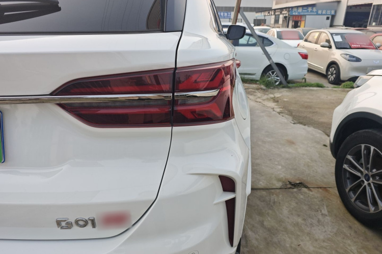 SWM G01FF 2024 #8 SWM G01FF 2024 car image #8