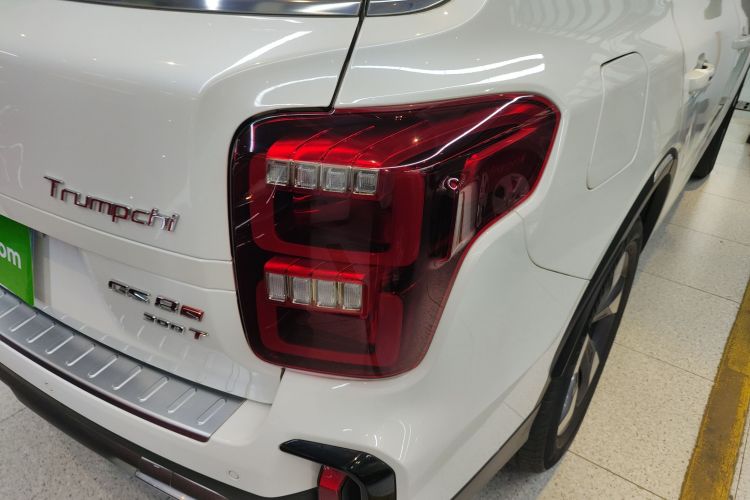 GAC Trumpchi GS8 2021 #8 GAC Trumpchi GS8 2021 car image #8