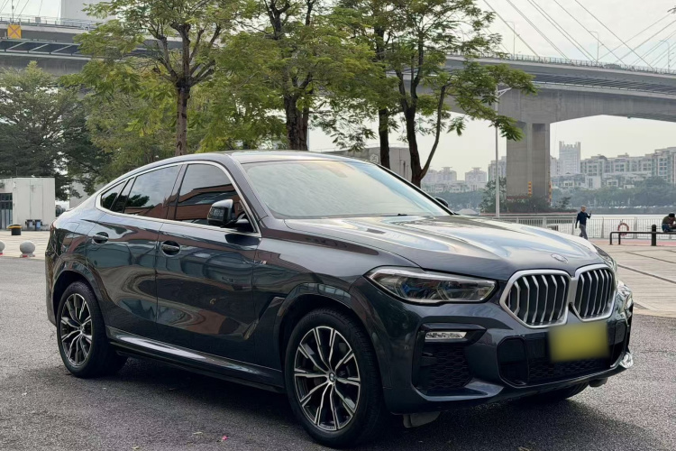 BMW X6 2020 car image #8
