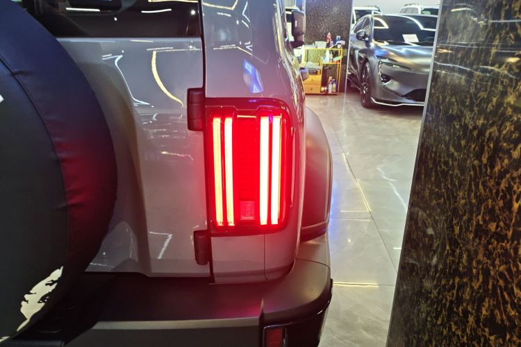 Tank 300 New Energy 2025 car image #8