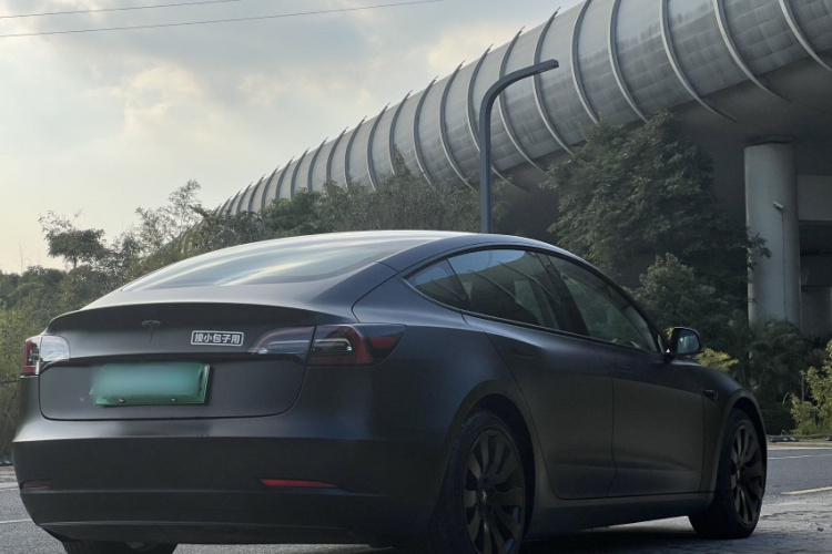 Tesla Model 3 2021 car image #8