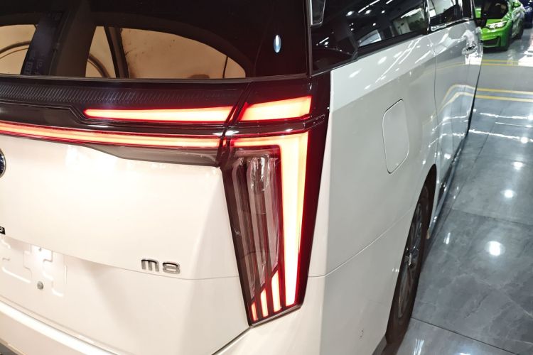 GAC Trumpchi Xiangwang M8 2025 car image #8