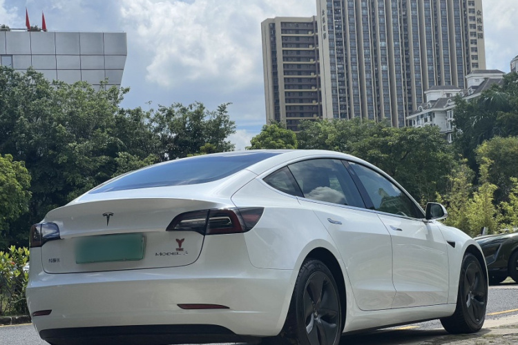 Tesla Model 3 2020 car image #8