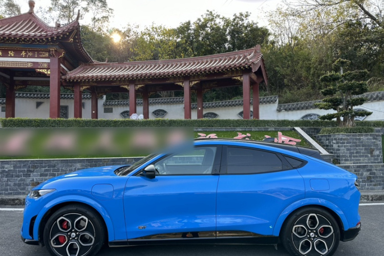 Ford Mustang Mach-E 2022 car image #8