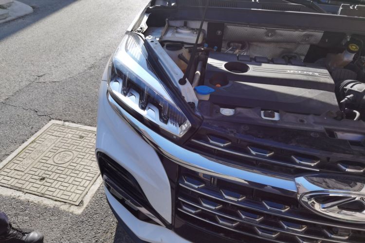 Chery Tiggo 8 2021 immagine di auto #8