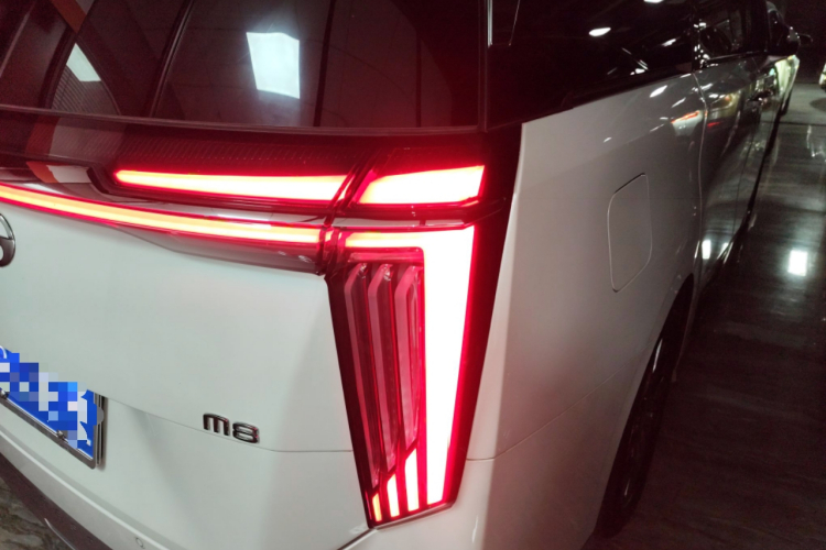 GAC Trumpchi M8 2024 car image #8