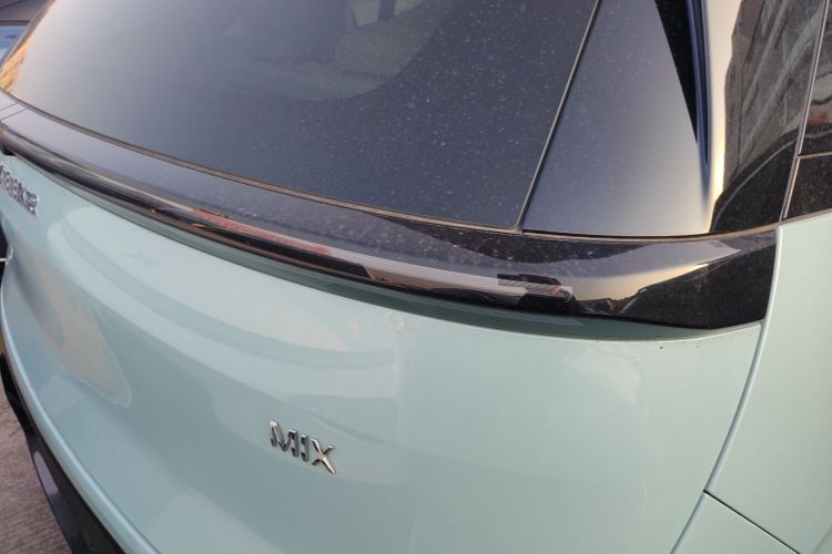 极氪 极氪MIX 2024 汽车图片 #8