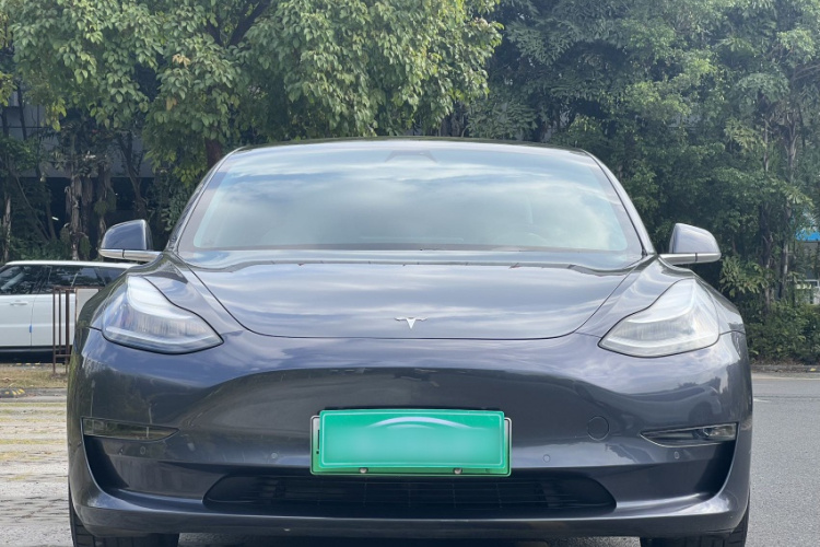 特斯拉 Model 3(进口) 2019 汽车图片 #8