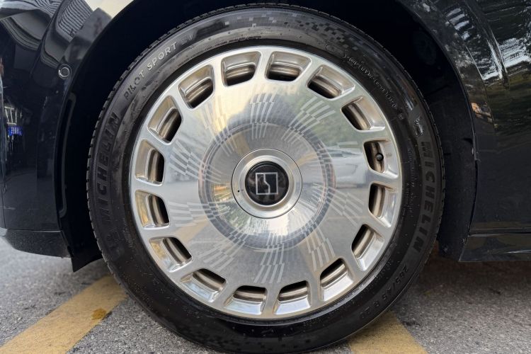 极氪 极氪009 2024 汽车图片 #8