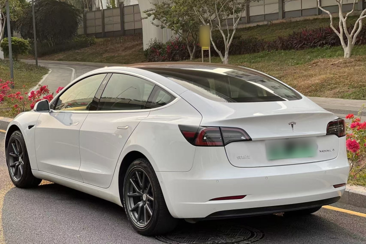 Tesla Model 3 2020 #8 Tesla Model 3 2020 car image #8