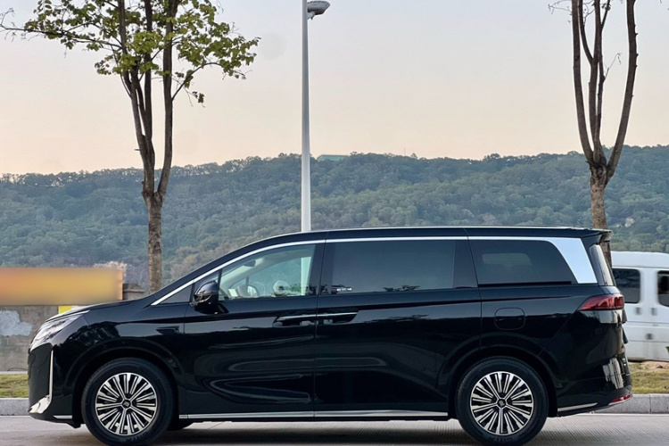 BYD Xia 2025 car image #8