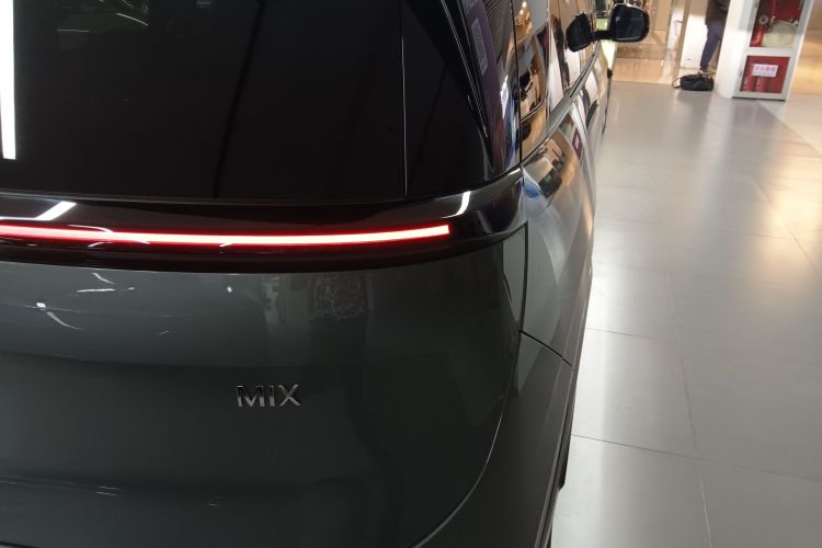 极氪 极氪MIX 2024 汽车图片 #8