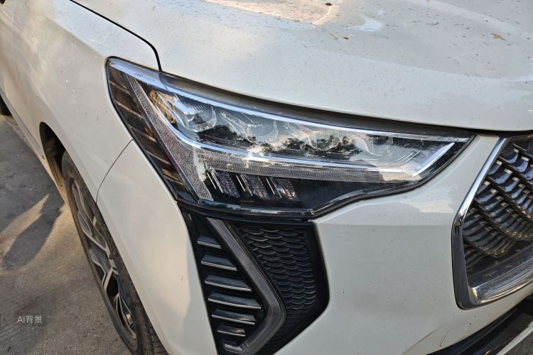 Haval Jolion 2021 car image #8