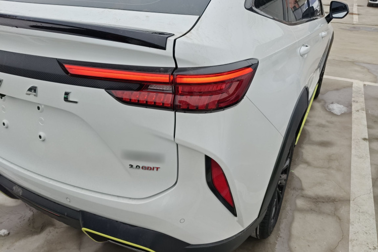 Haval H6S 2022 car image #8