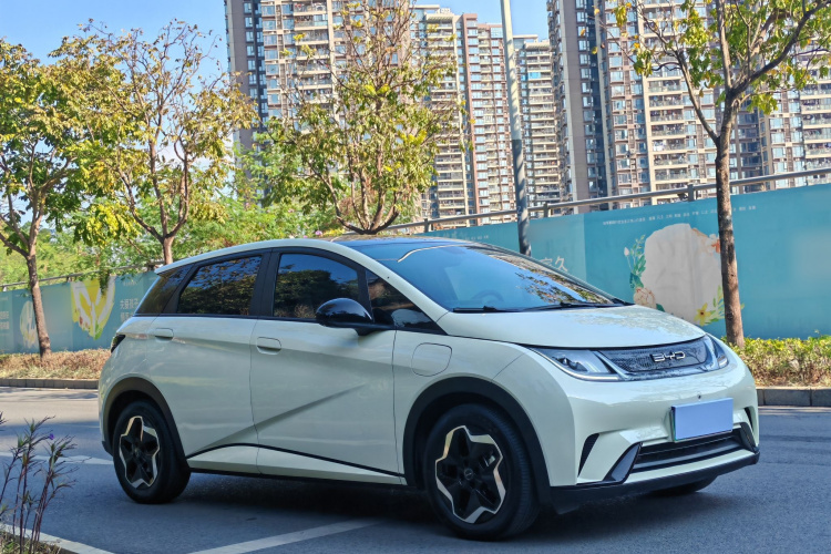 BYD Dolphin 2022 car image #8