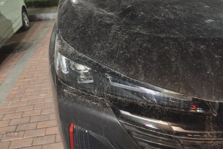 Changan CS55 Plus 2022 car image #8