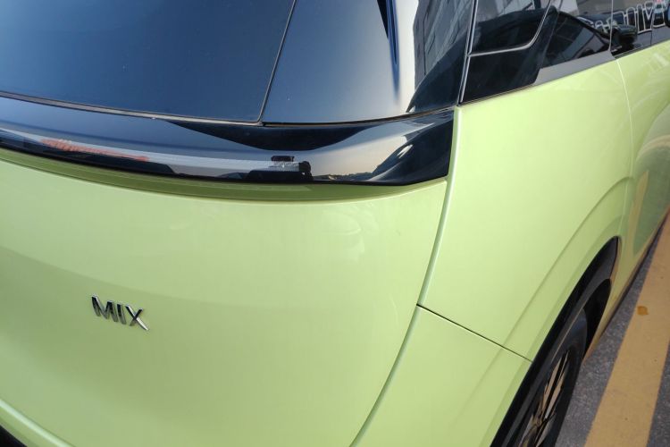 极氪 极氪MIX 2024 汽车图片 #8