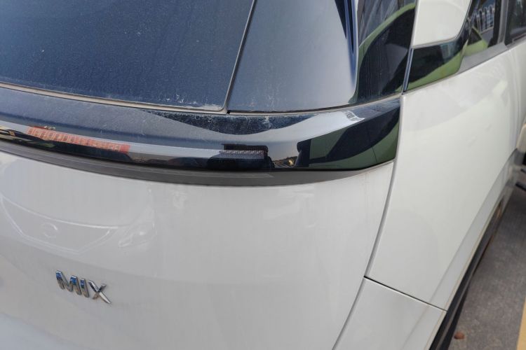 极氪 极氪MIX 2024 汽车图片 #8