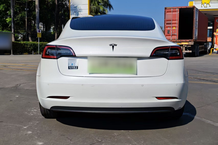 特斯拉 Model 3(进口) 2019 汽车图片 #8