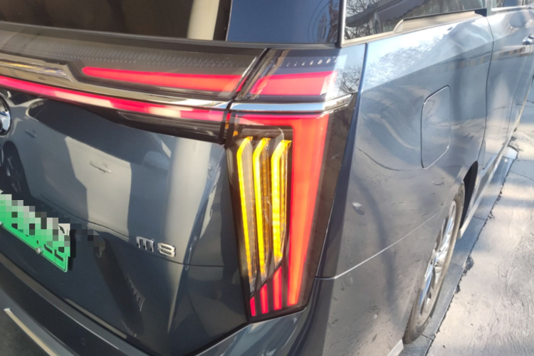 GAC Trumpchi Xiangwang M8 2025 car image #8