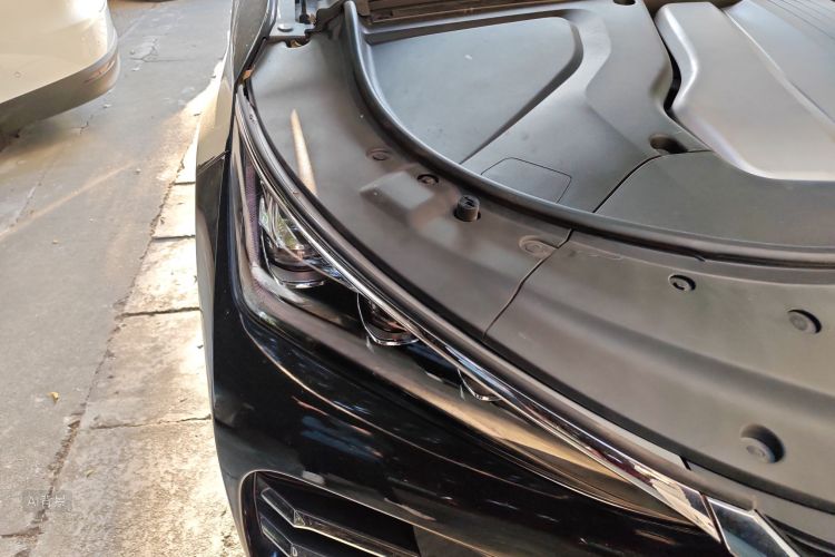 BYD Tang New Energy 2019 car image #8