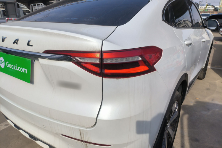 Haval F7x 2020 #8 Haval F7x 2020 car image #8