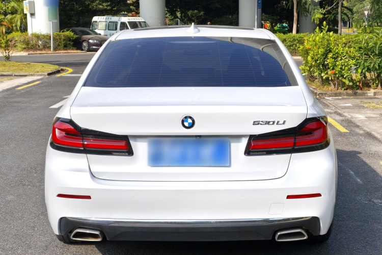 BMW 5 Series 2020 #8 BMW 5 Series 2020 car image #8
