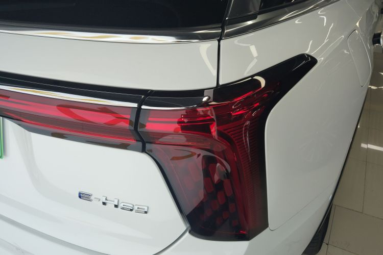 HongQi E-HS9 2023 #8 HongQi E-HS9 2023 car image #8