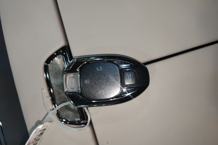 GAC Trumpchi Xiangwang M8 2025 car image #8